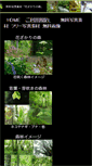 Mobile Screenshot of forest17.com